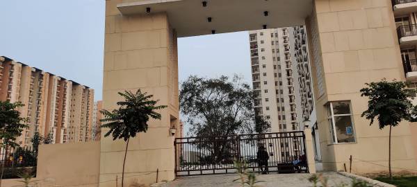 Elevation swamanorath Elevation