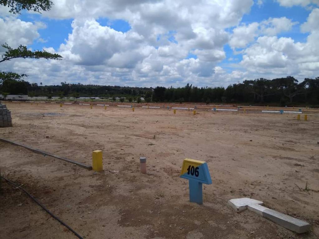  vensai icon temple tree Elevation