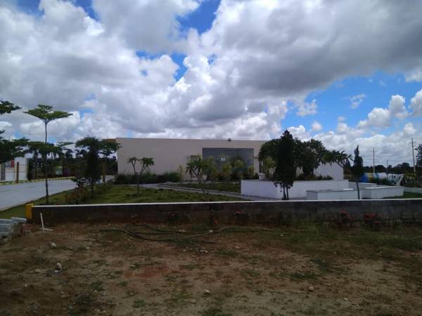  vensai-icon-temple-tree Elevation