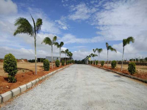  vensai-icon-temple-tree Internal Roads