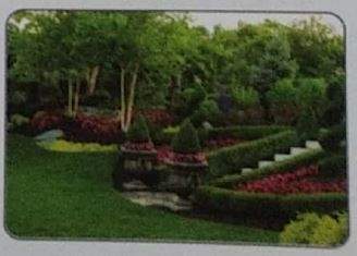  amigo united avenues Others