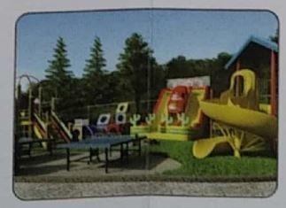  amigo-united-avenues Others