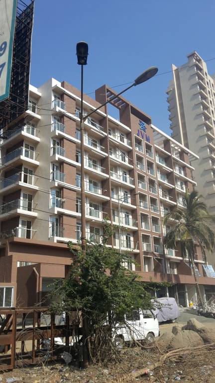  olive 1 Images for Project