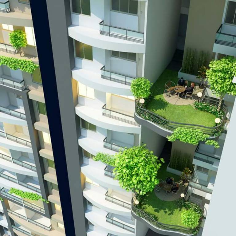 Images for Elevation of DLB Star