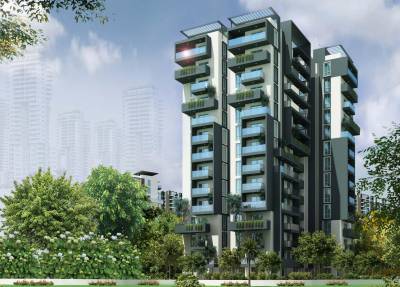 Images for Elevation of Pioneer Park Avenue