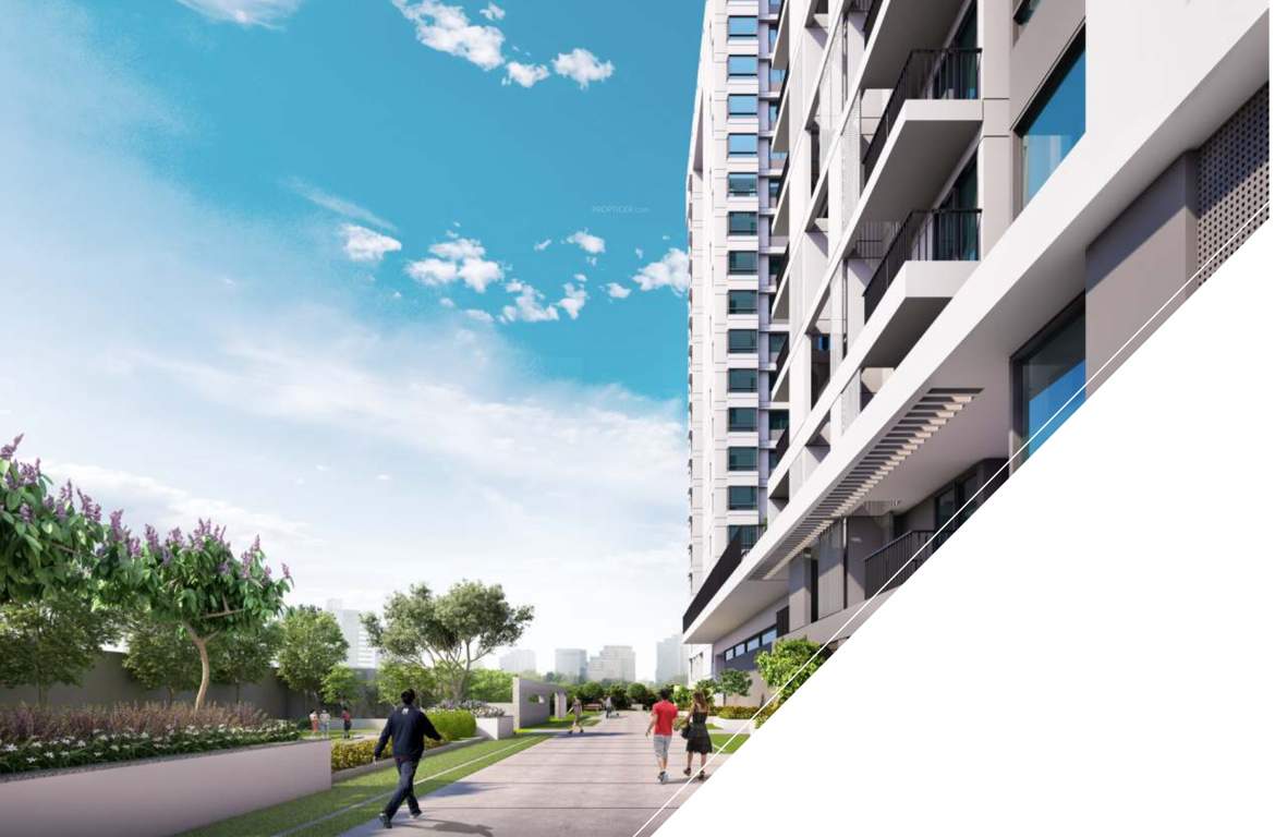  casablanca Images for Amenities of DNR Casablanca