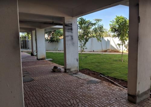  esquina Landscape Garden and Tree Planting