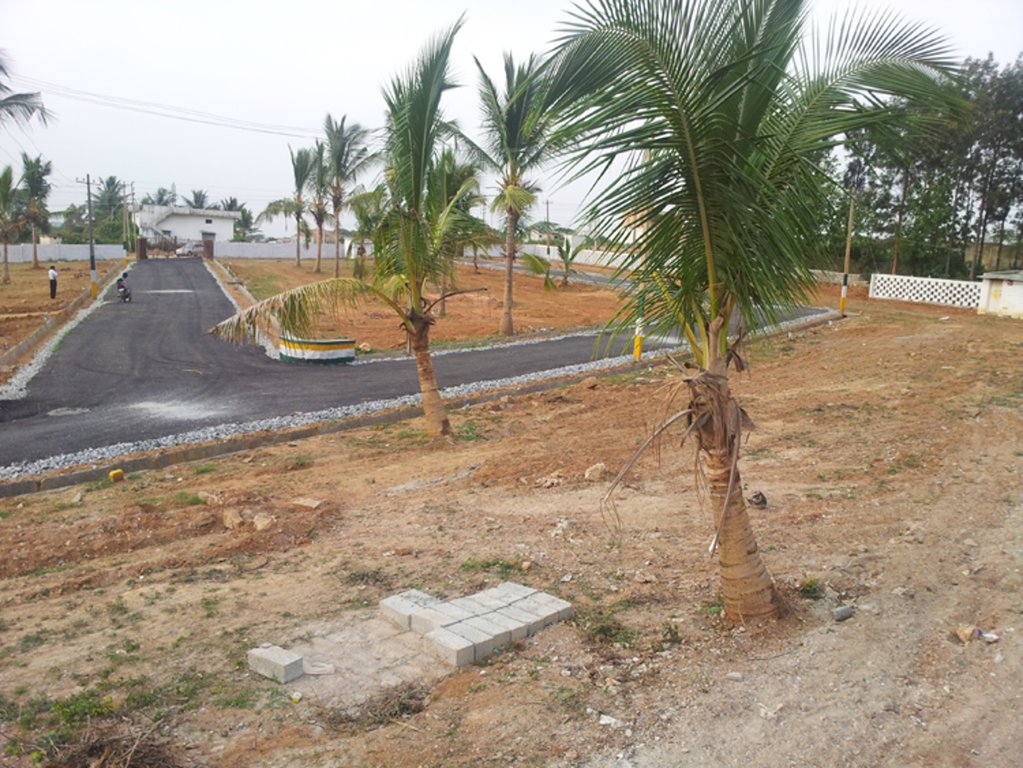 Images for Main Other of SLV Infra Projects SLV Cocogroove Layout