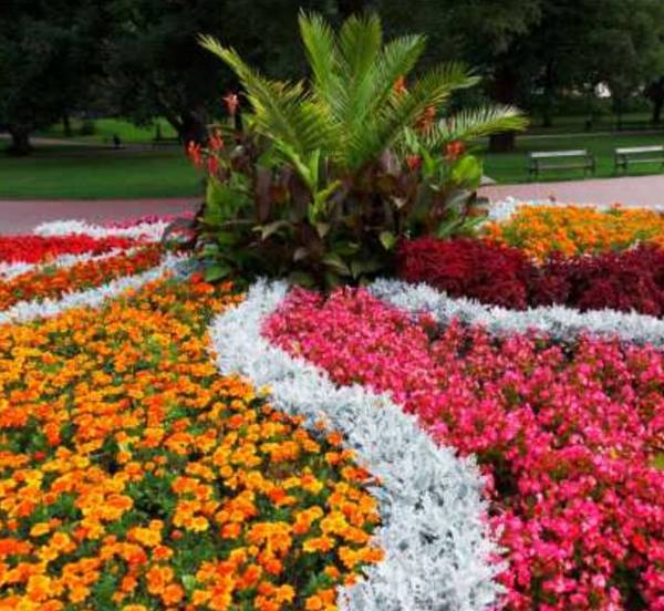 Images for Amenities of Saakshi Parvatara Images for Amenities of Saakshi Parvatara