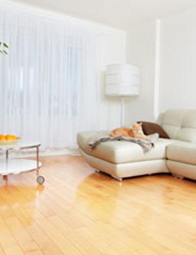  city-connect Images for Main Other of Ruby City Connect