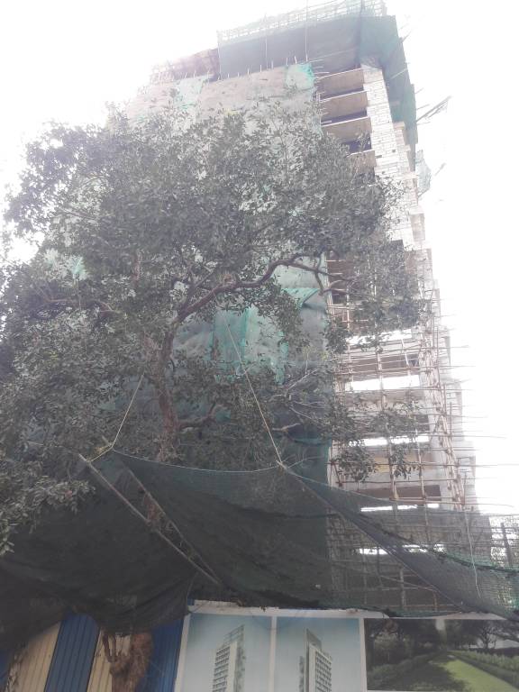 Images for constructionStatus