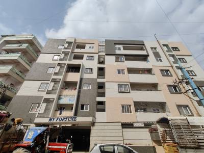  my-fortune Elevation