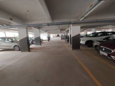  my-fortune Car Parking