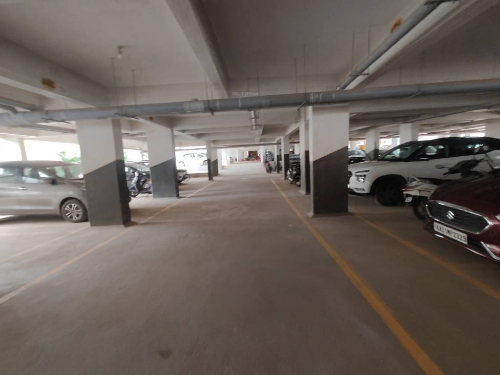  my fortune Car Parking