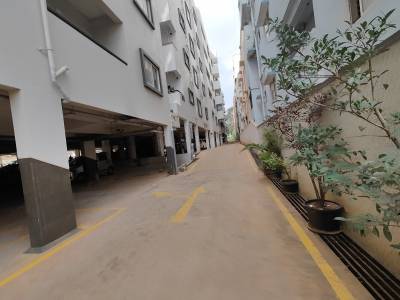  my-fortune Paved Compound