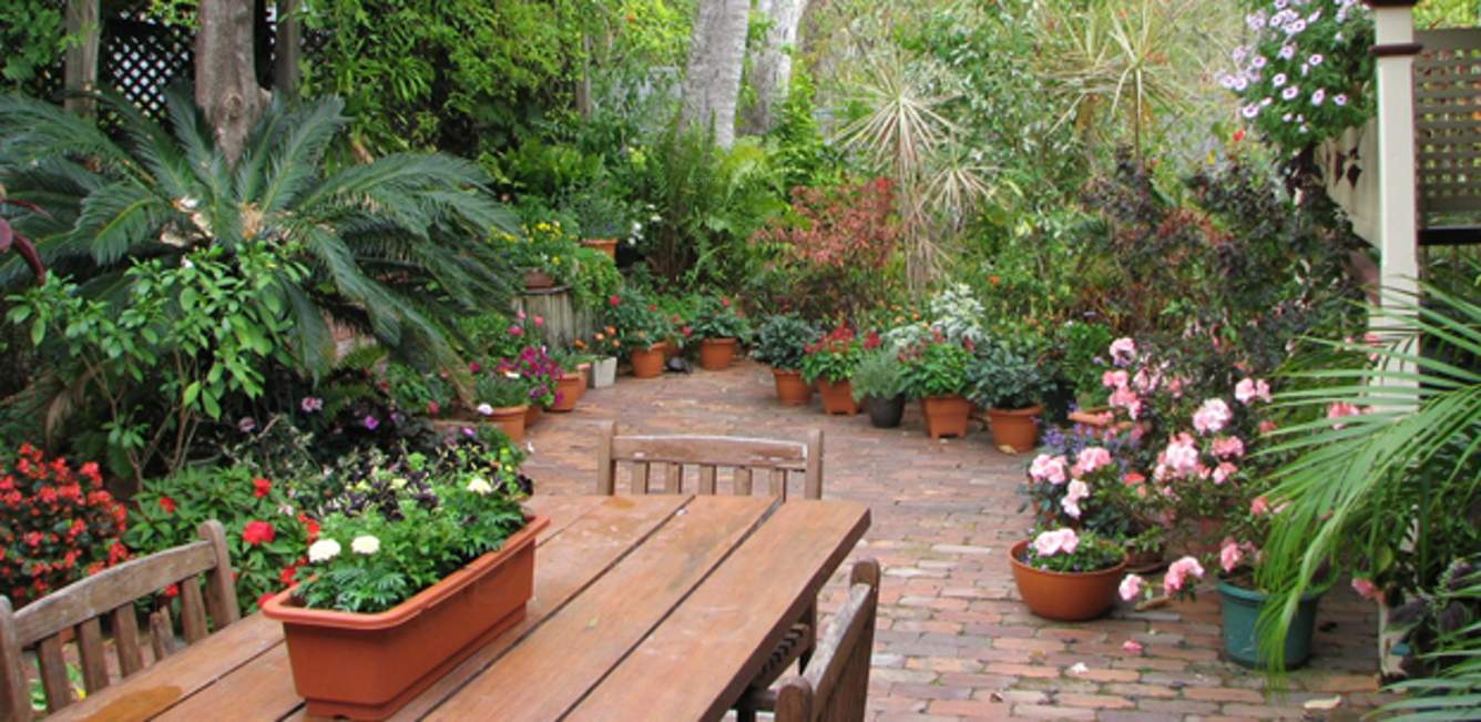  courtyard Images for Amenities of XS Courtyard