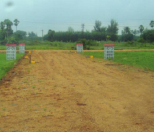 Images for Main Other of Banu Highway College City