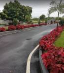  crescent-enclave Others