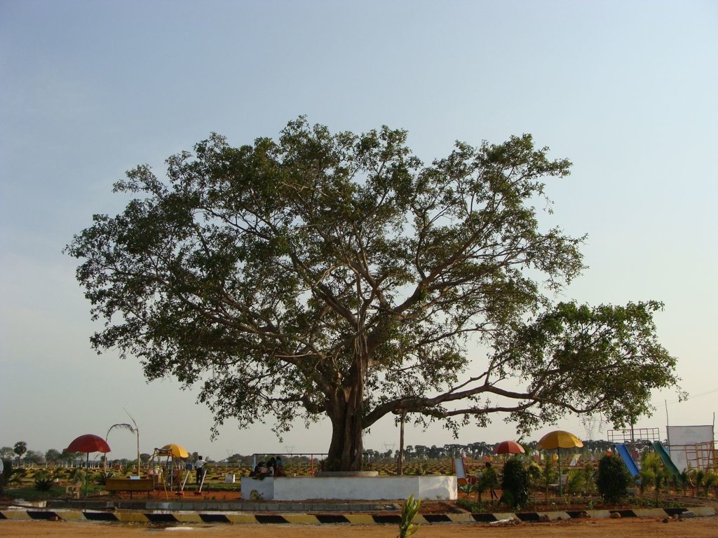 Images for Amenities of Banu High Quality City