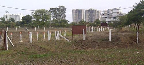  aster-valley Images for Main Other of Aarohi Aster Valley