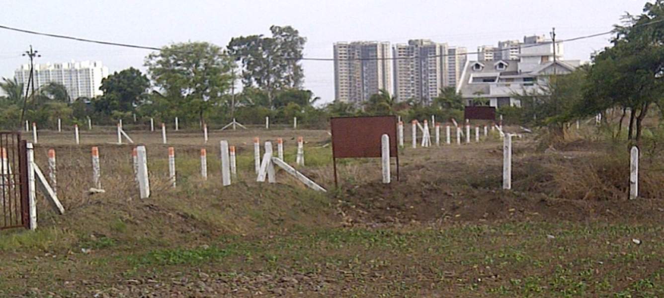  aster valley Images for Main Other of Aarohi Aster Valley