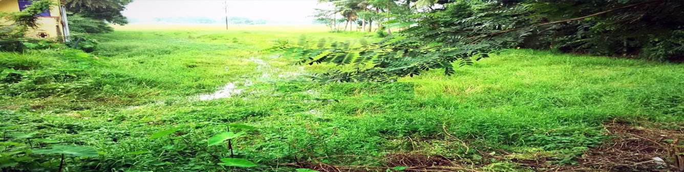 Images for Elevation of Greenview Aparajita Garden