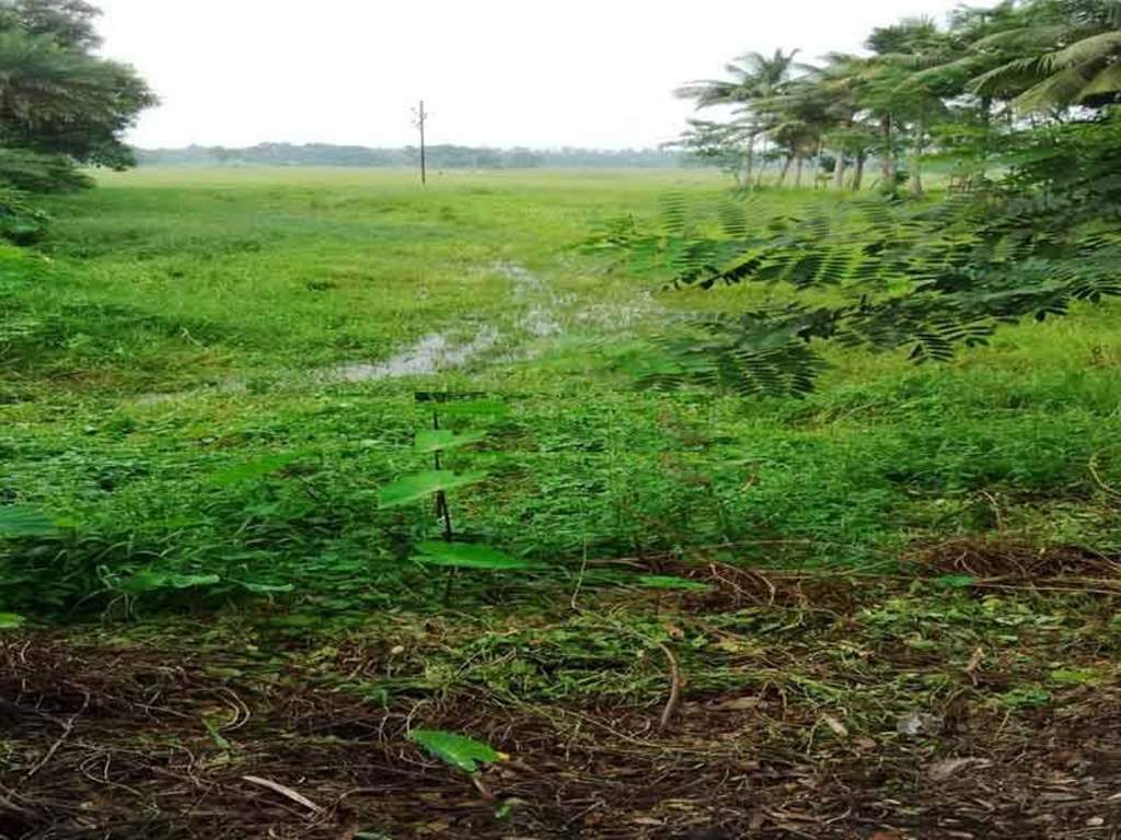 Images for Main Other of Greenview Aparajita Garden