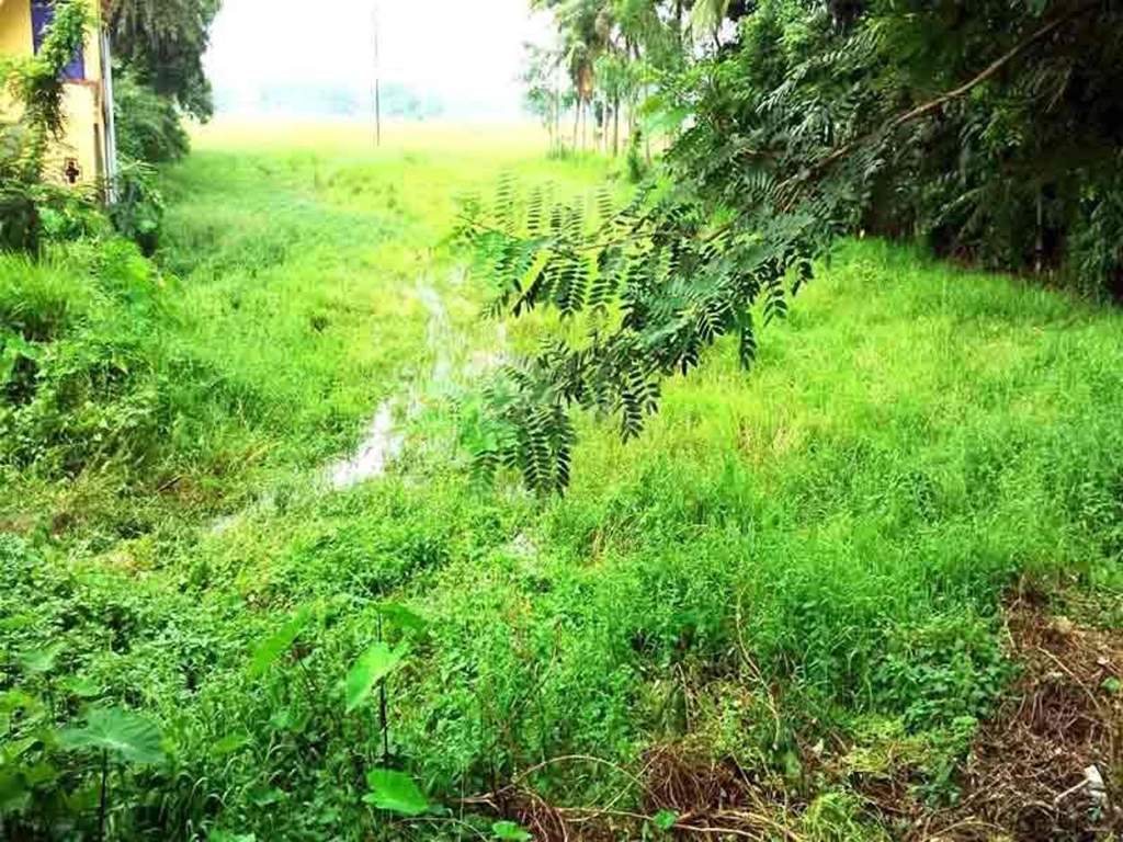 Images for Main Other of Greenview Aparajita Garden