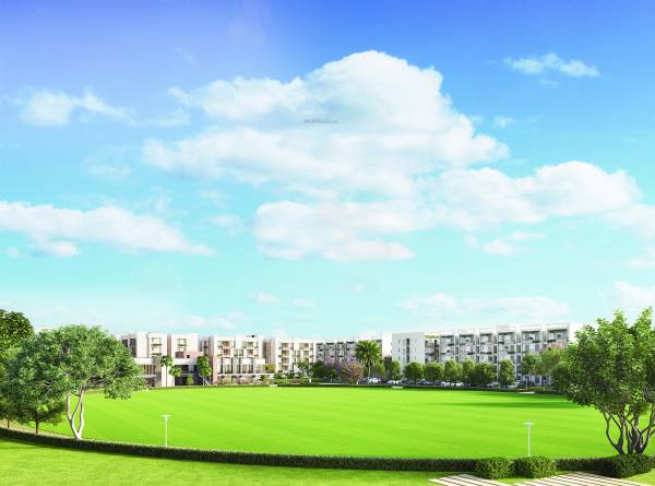  swayam-city-phase-iv Elevation