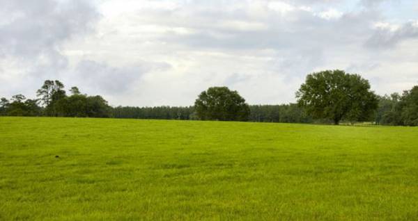 Images for Elevation of Sterling Shri Lakshmi Nagar Images for Elevation of Sterling Shri Lakshmi Nagar