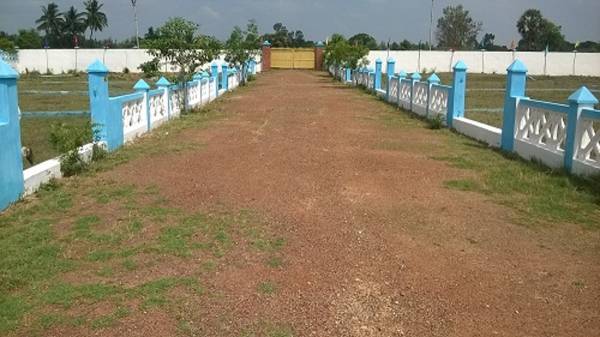 Images for Elevation of Sterling Royal Gold Crest Images for Elevation of Sterling Royal Gold Crest