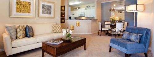 Images for Main Other of Sahil Pride pride Images for Main Other of Sahil Pride