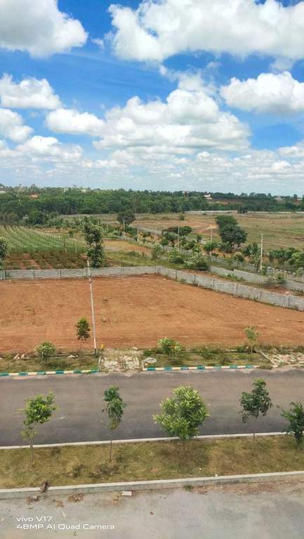  gardenia Plot