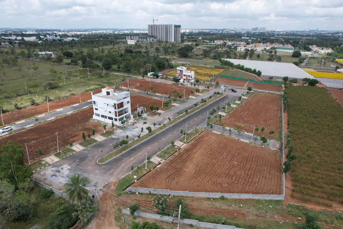  gardenia Plot