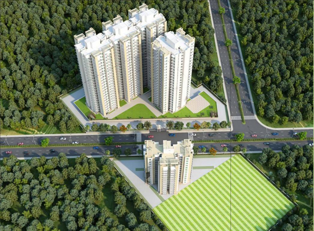  rossa Images for Project