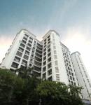 Images for Elevation of Suraj Estate Developers Pvt Ltd Our Lady Of Vailankanni Images for Elevation of Suraj Estate Developers Pvt Ltd Our Lady Of Vailankanni