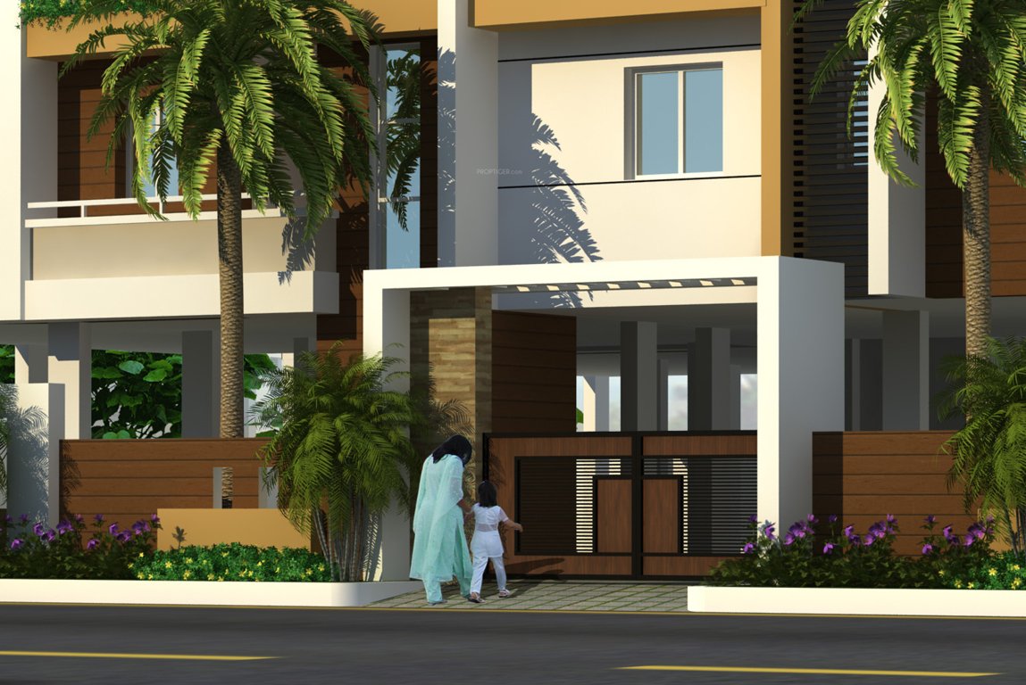 Images for Amenities of Mourya Empire