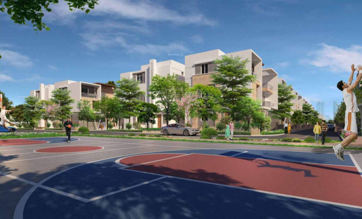  woods Basketball Court