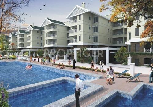  dew-flower Images for Elevation of Sobha Dew Flower