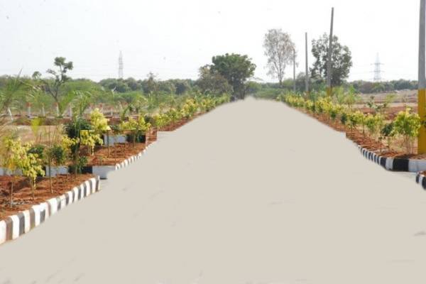 Images for Main Other of Tricolour Properties Loreal Park