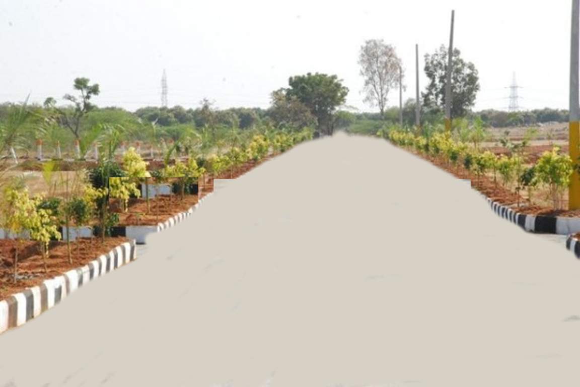 Images for Main Other of Tricolour Properties Loreal Park