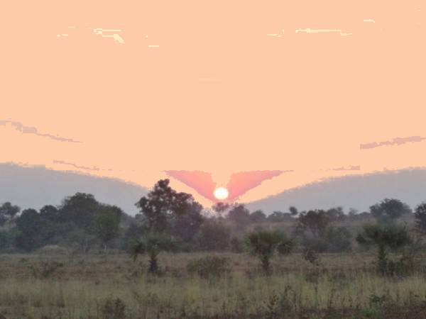 Images for Main Other of Tricolour Los Cabos