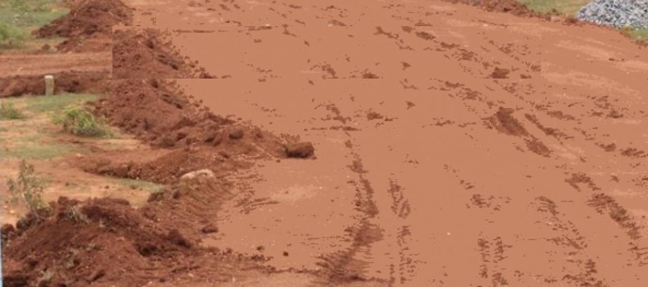 Images for Main Other of Tricolour Los Cabos