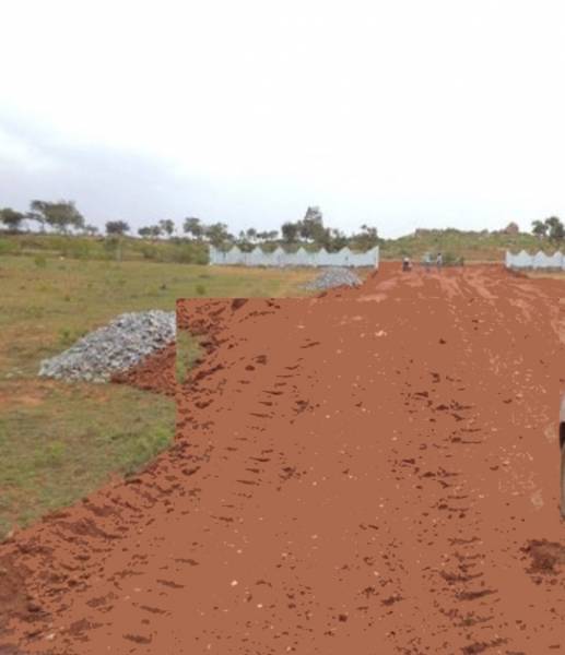 Images for Main Other of Tricolour Los Cabos