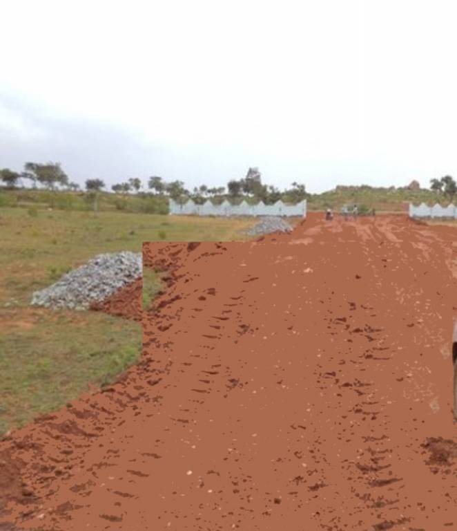 Images for Main Other of Tricolour Los Cabos