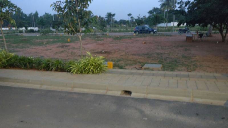  dollar-colony Images for Elevation of Reliaable Dollar Colony