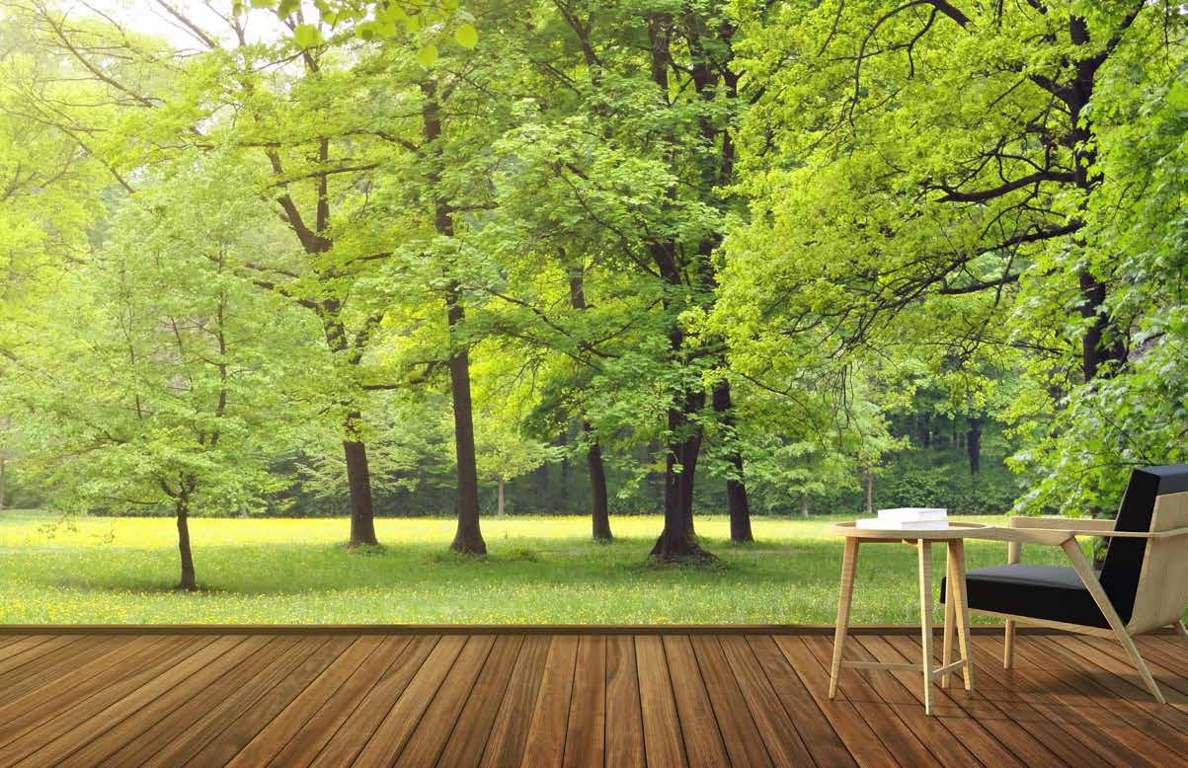  dollar colony Images for Amenities of Reliaable Dollar Colony