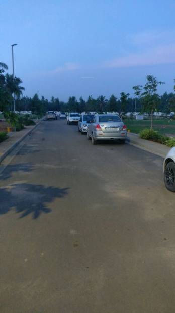  dollar-colony Images for Main Other of Reliaable Dollar Colony