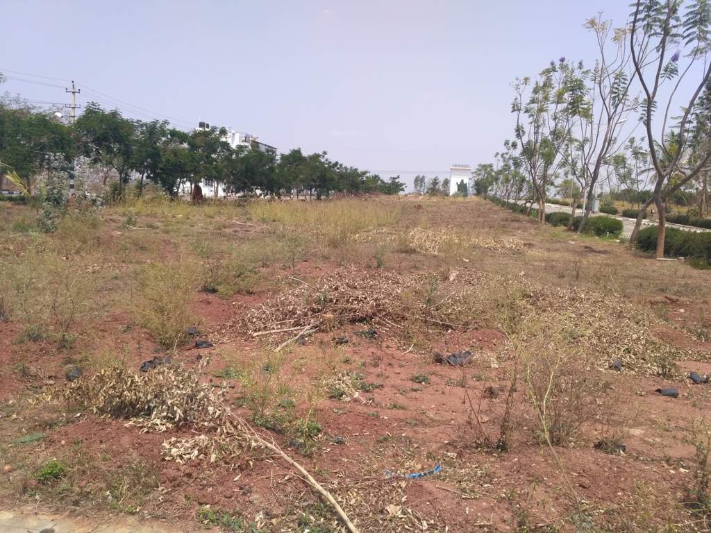  gardens phase iv Elevation