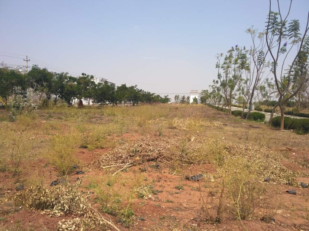  gardens phase iv Elevation